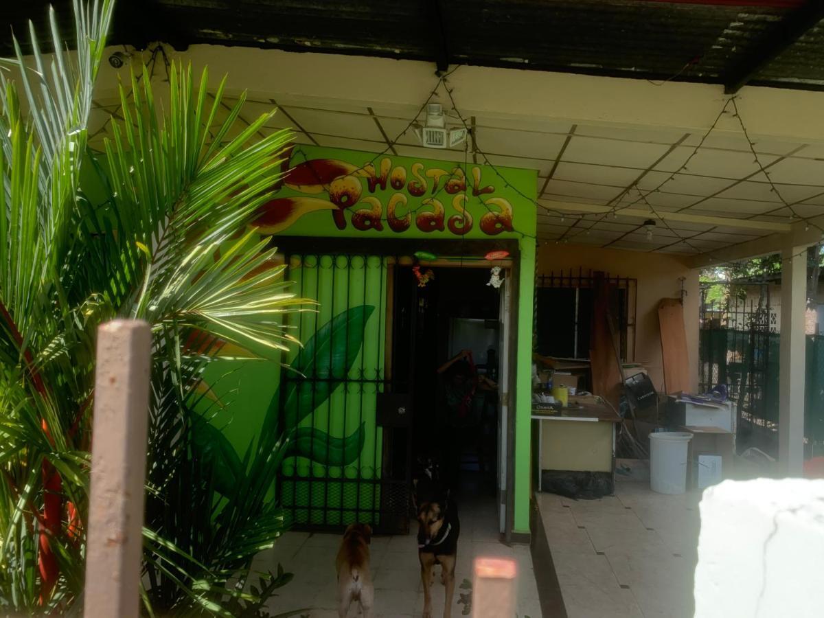 Pacasa Hostel 다비드 외부 사진