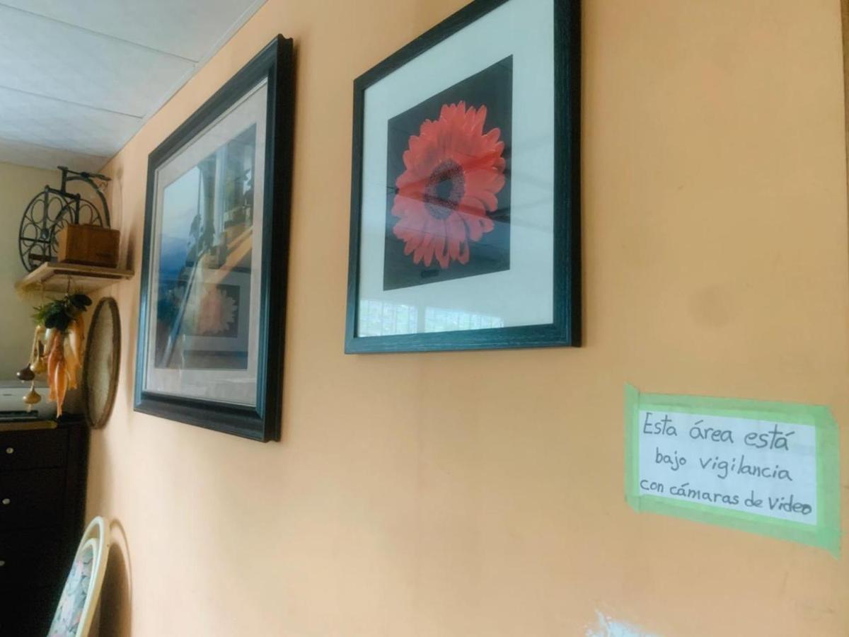 Pacasa Hostel 다비드 외부 사진